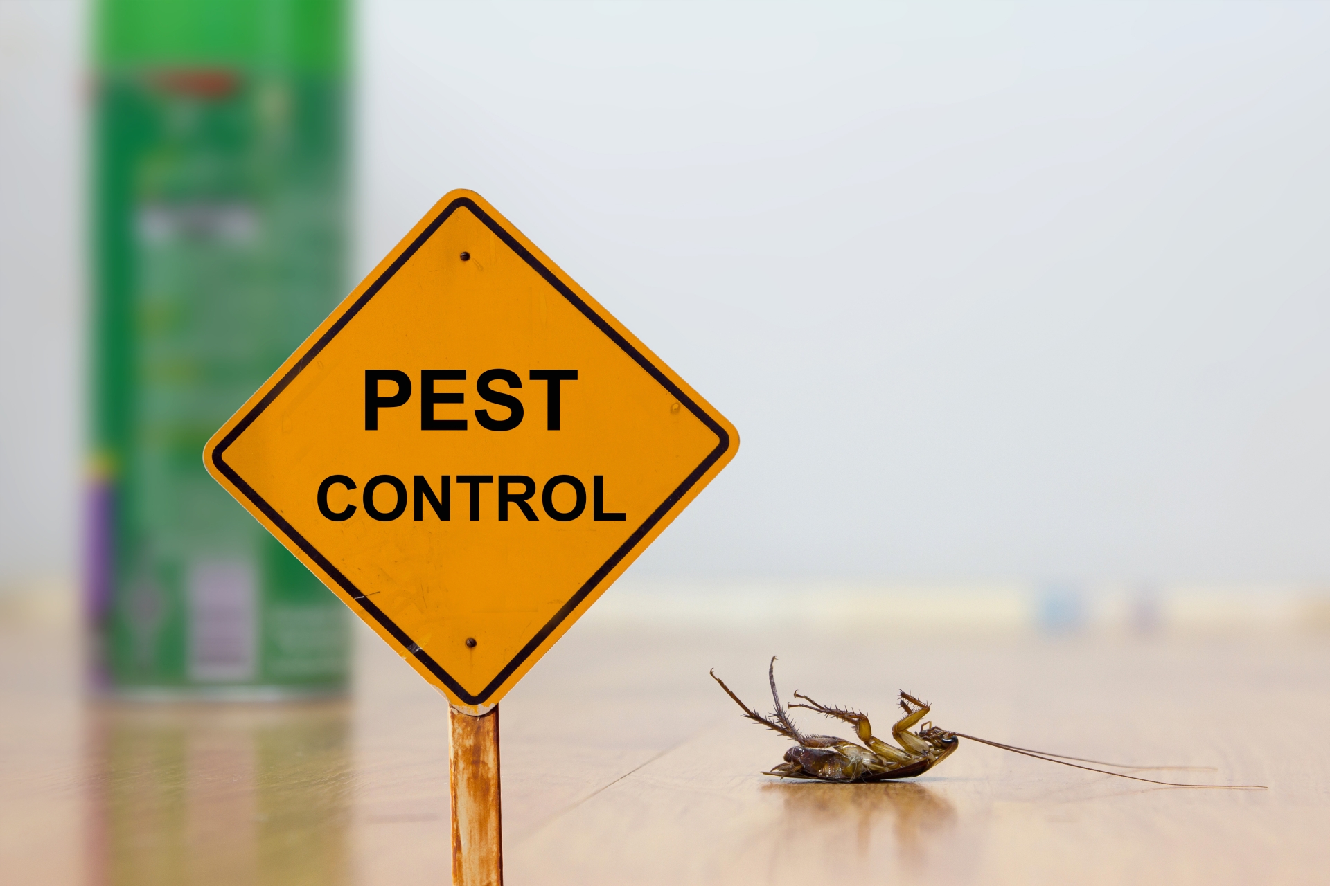 24 Hour Pest Control, Pest Control in West Drayton, Harmondsworth, Sipson, UB7. Call Now 020 8166 9746