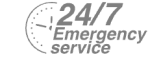 24/7 Emergency Service Pest Control in West Drayton, Harmondsworth, Sipson, UB7. Call Now! 020 8166 9746
